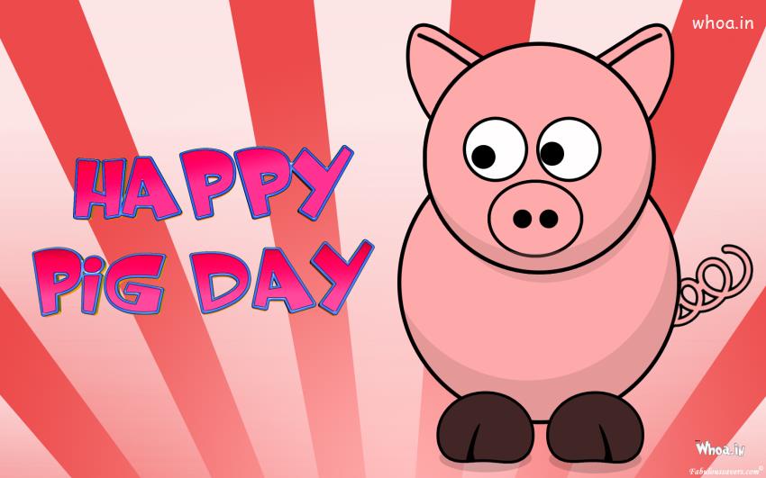 Happy Pig Day 1St March International Pig Day