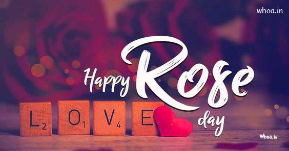 Happy Rose Day 7Th February Valentine Week Hd Images Wallpapers 