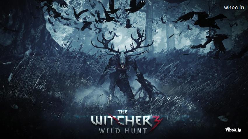 The Witcher 3 Wild Hunt Hd Images Wallpapers The Witcher