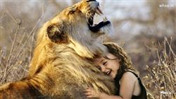 cute child Girl playing with Lion Photoshoot HD Wa