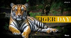 29 July- international Tiger Day