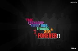 True Friendship Never Ends....Happy Friendship Day
