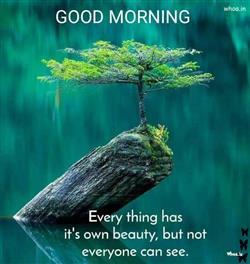 Best good morning natural beauty quotes and images