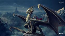 Dragon With Soldier Fantasy HD Dragon Wallpaper 