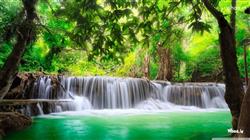 Free Waterfall Live Wallpaper For PC Windows and M