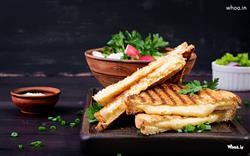 Best Grilled Sandwich Pictures, Images and Photos