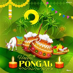 Happy Pongal 2022Sticker Download for Facebook&Wha