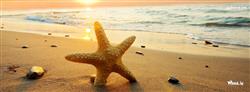 Beach and Star fish facebook cover