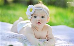Newborn Baby Boy Images - Free Vector, Photos & PS