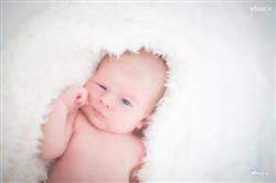 Sweet Baby Little Cutie, Very Cute Baby  Images, P