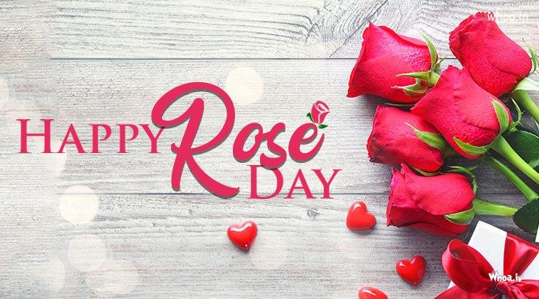 Happy Rose Day 7Th February Valentine Week Hd Images Wallpapers  #2 Happy-Rose-Day Wallpaper