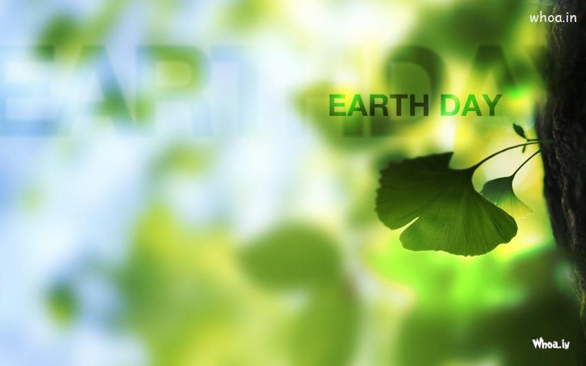 Earth Day Celebration Images & Hd Wallpapers For Earth Day #3 Earth-Day Wallpaper