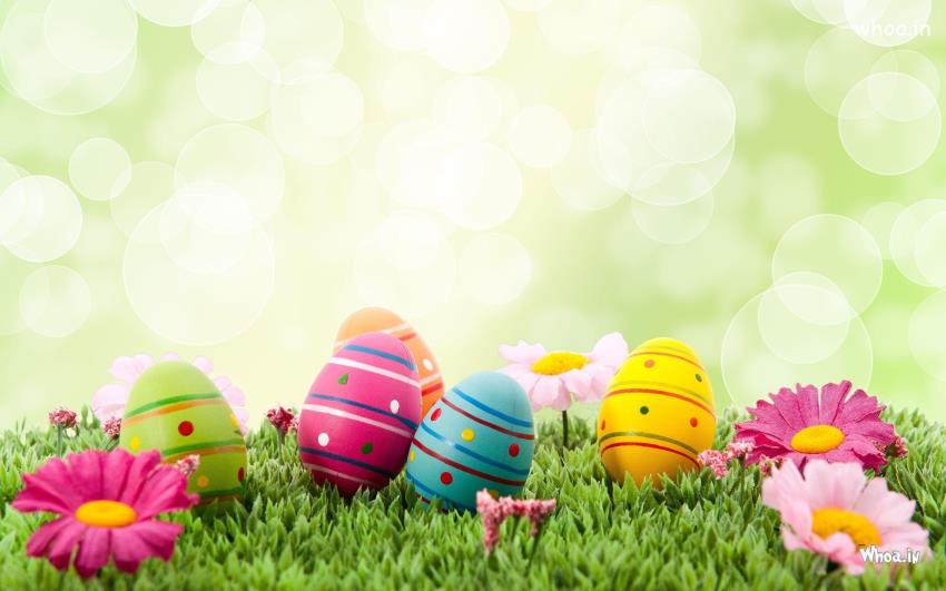 Happy Easter Festival Hd Images & Wallpapers Happy Easter #3 Easter-Egg-Fb-Cover Wallpaper