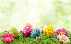 Happy Easter Festival Hd Images & Wallpapers Happy