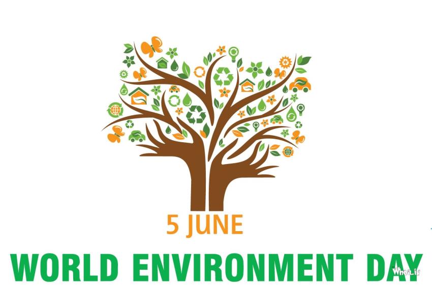 The Beautiful Image Of 4 June The World Environment Day