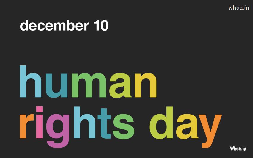 International Human Rights Day, 10Th December Quotes Equal Rights Greetings Images #4 Human-Rights-Day Wallpaper