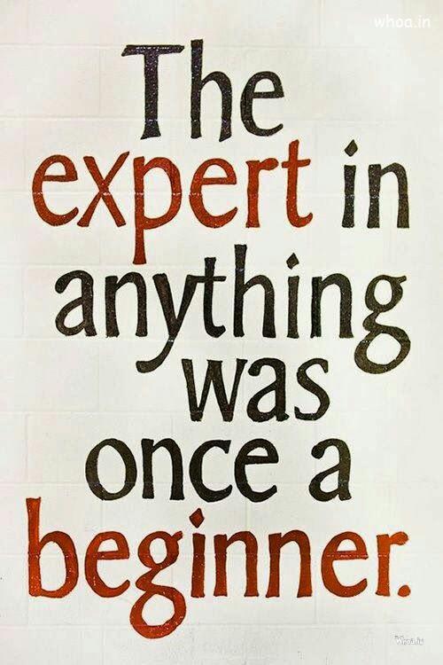 Education Thought About Expert And Beginner