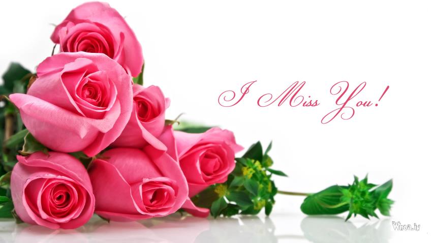 Image Of I Miss You With Pink Roses