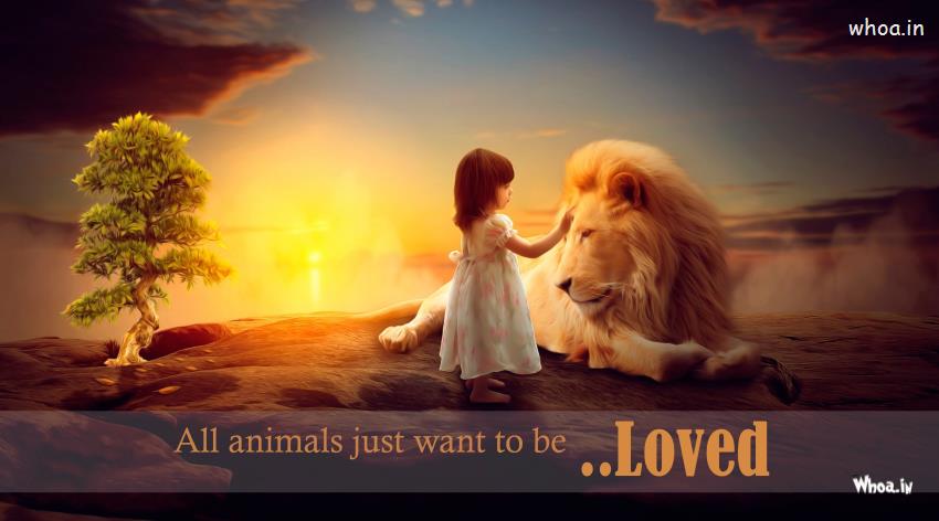 All Animals Just Want To Be Loved -Quote Hd Wallpaper Images