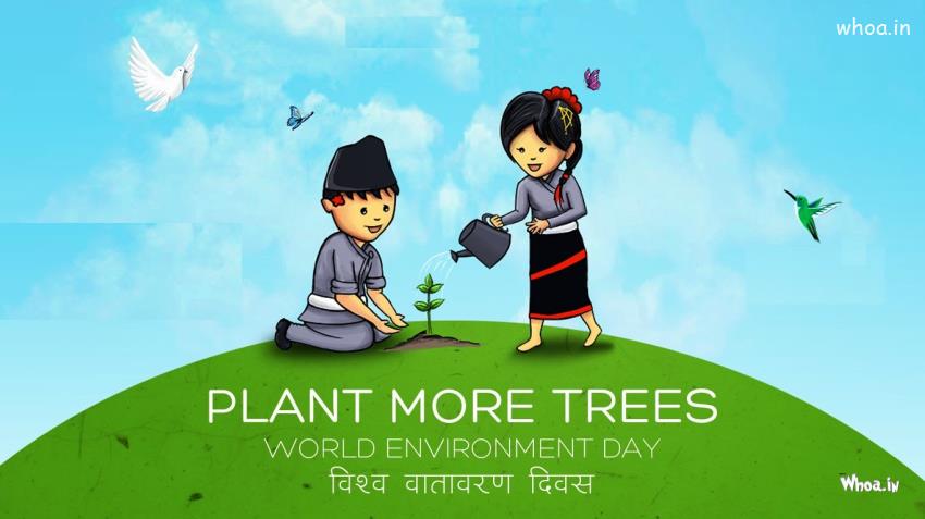 HD Image Of Two Children With The Massage Plant More Tree 
