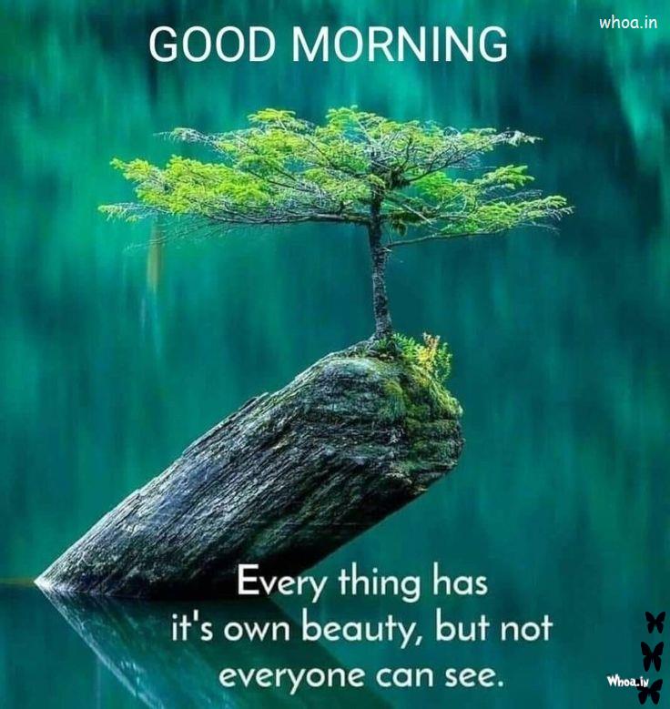Best Good Morning Natural Beauty Quotes And Images Download