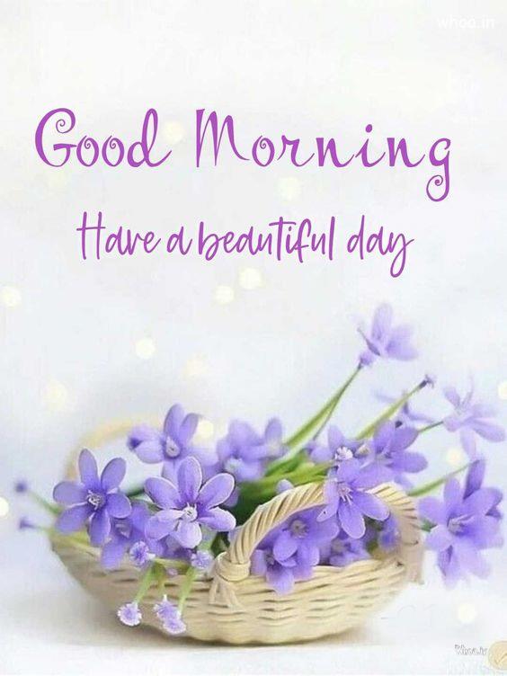 Best Purple Flower With Morning Wishes , Good Morning