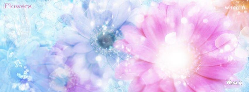 Flowers Facebook Cover Pictures , Best Flower Fb HD Cover