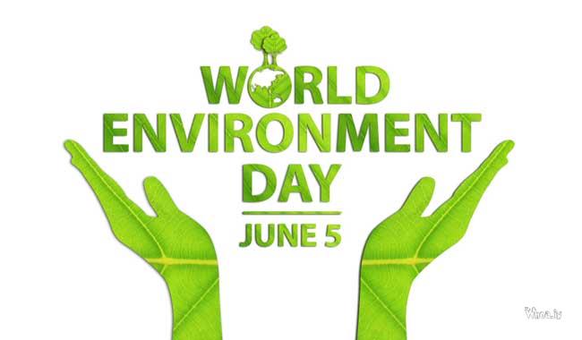 HD Greeting Image For The 5 June World Environment Day