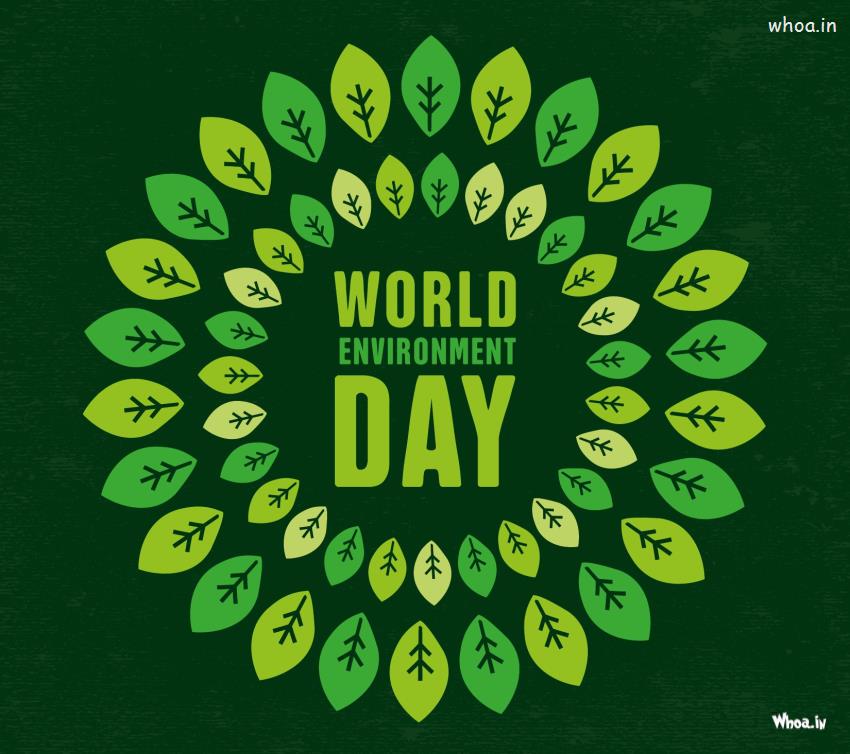 Beautiful Greeting Image  Of The World Environment Day