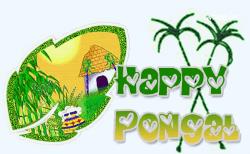 Happy Pongal 2018 GIF greeting images and wallpape