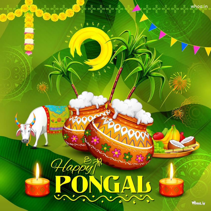 Happy Pongal Wishes,Sticker Download For Facebook & Whatsapp