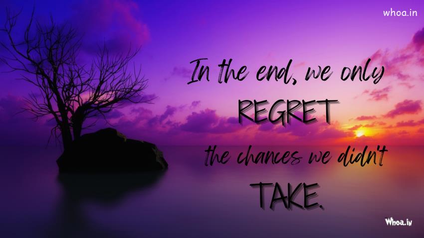 In The End We Only Regret The Chances We Did Not Take Quote
