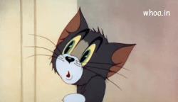 Latest Best Tom & Jerry GIF - Get the best GIF on 