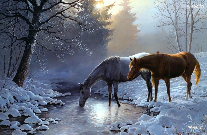 Natural Snowfall And Horse Drinking Water Hd Wallpaper