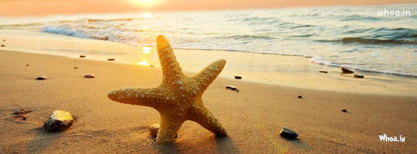 Beach And Star Fish Facebook Cover , Best Star Fish 