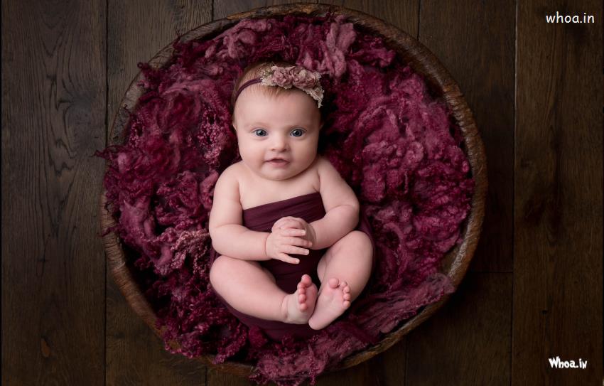 Newborn Photo Shoot By Professional Photographer Download