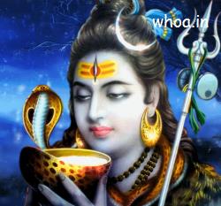 Shiva GIFs - God Shiva Lord - Discover & Share GIF