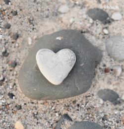 Beach stone heart shape images and pictures