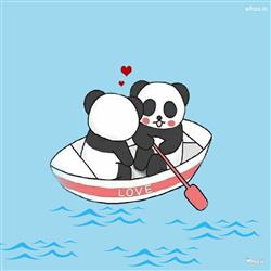 Beach with panda lovely pictures