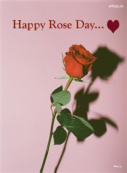 Beautiful red rose - Happy rose day wishes wallpap