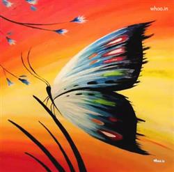 Best butterfly painting images and wallpapers