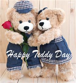 Best teddy bear and happy teddy day photos