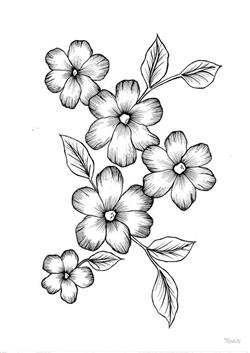 Flower images drawing 