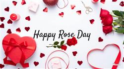 Happy Rose Day Mobile Wallpaper