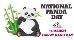 national panda day pictures