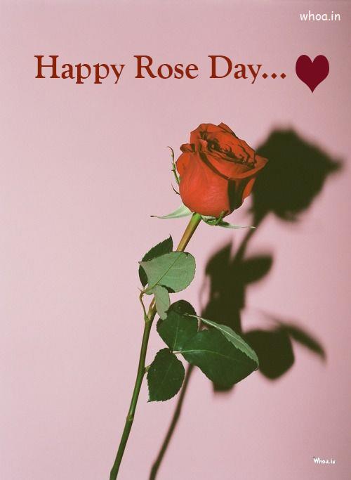 Beautiful Red Rose - Happy Rose Day Wishes Wallpaper , Rose 