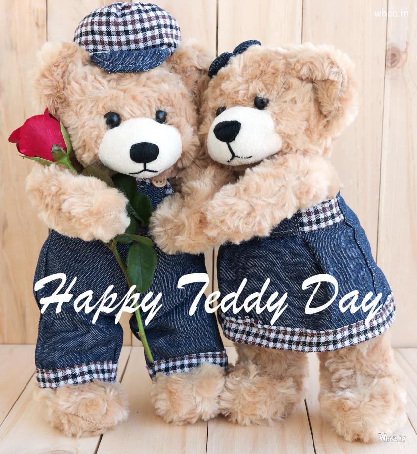 Best Teddy Bear And Happy Teddy Day Photos ,Valentine''s Week