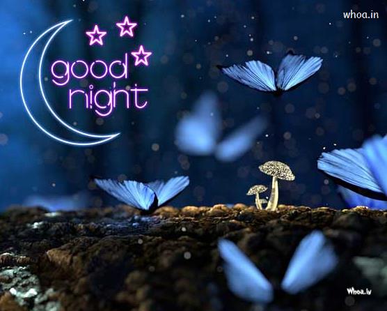 Butterflys With Good Night Greeting Beautiful Wallpaper