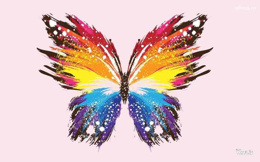 Colourful Butterfly Images , Desktop Butterfly Wallapaper