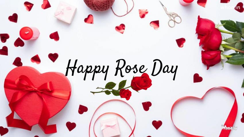 Happy Rose Day Mobile Wallpaper , Happy Rose Day Pictures